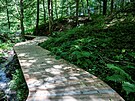 Nov� stezka v ��sti B�lsk�ho lesa v Ostrav�. (14. �ervence 2023)