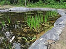Technologie libereck�ch v�dc� z TUL nazvan� Wetland+ m� zamezit ���en� toxick�...