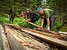 Dobrovolnci pomhaj zalesovat holiny, kter v Jesenkch vznikly kvli...