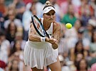 Markéta Vondrouová v semifinálovém utkání Wimbledonu.