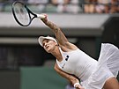 Markéta Vondrouová sevíruje v duelu o postup do semifinále Wimbledonu.
