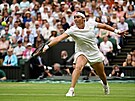 Uns Dábirová v semifinále Wimbledonu.
