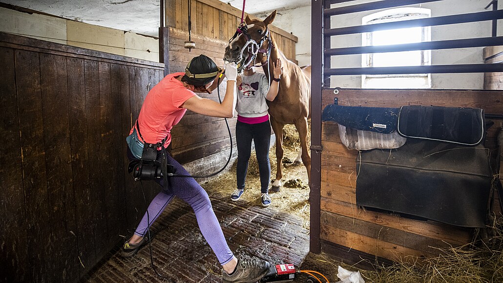 Podr�te mu jazyk, po�ádá m� paní doktorka. Zadívám se do o�í ob�ímu zví�eti,...