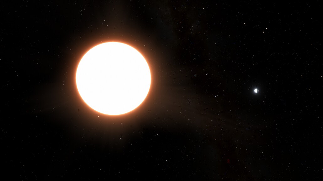 P�edstava ilustrátora o planet� LTT9779b u své hv�zdy. Planeta je velká...