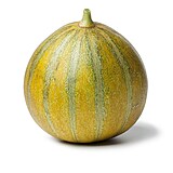 Osvujc OGEN. Tento hybrid cukrovho melounu byl vylechtn v Izraeli. Plody...