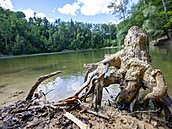 Zhruba jedenáct metr� hluboké kaolinové jezírko mezi obcemi Mar�ov a La�ánky na...