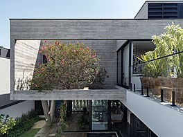 Zadní zahradní trakt domu, kterému vládne edá betonové konstrukce, zjemuje...