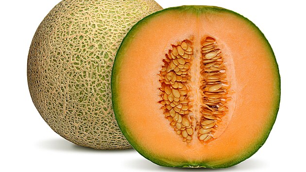 Nejmen CANTALOUPE Nejdrobnj ze vech meloun je zejm Cantaloupe, pro kter je typick 
sovan kra ukrvajc sladkou oranovou duninu.
