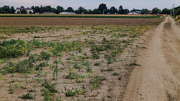 Sucho na Han� hl�s� i zem�d�lci na sv�ch pol�ch.