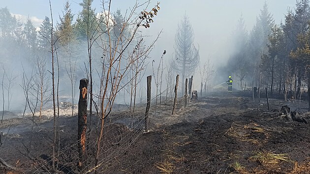 Hasii zasahuj u poru lesa pobl Bkovic na Blanensku. (19. ervence 2023)