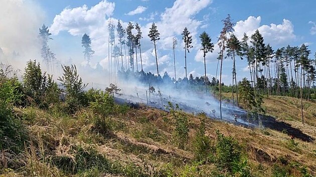 Hasii zasahuj u poru lesa pobl Bkovic na Blanensku. (19. ervence 2023)