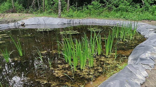 Technologie libereckch vdc z TUL nazvan Wetland+ m zamezit en toxick vody ze skldky v polskm Jaworznu.