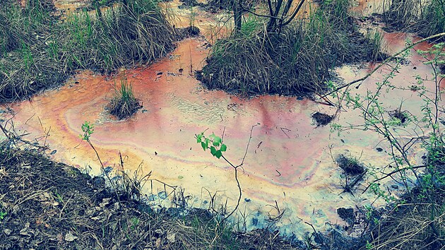 Technologie libereckch vdc z TUL nazvan Wetland+ m zamezit en toxick vody ze skldky v polskm Jaworznu.
