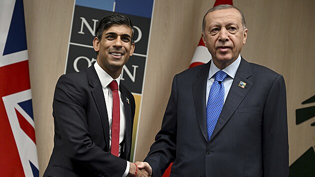 Turecký prezident Recep Tayyip Erdogan a britský premiér Rishi Sunak na summitu NATO ve Vilniusu (11. července 2023)