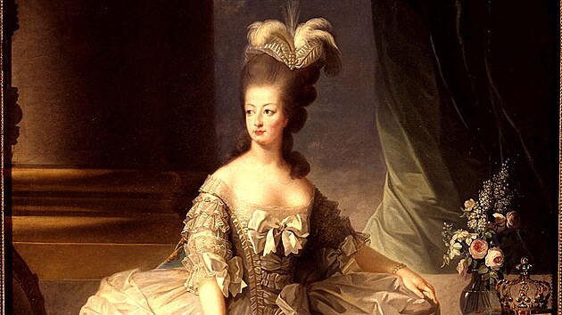 Francouzsk krlovna Marie Antoinetta je oividn mdn ikonou dodnes.