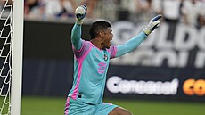 Branká� Panamy Orlando Mosquera zvedá ruce nad hlavu b�hem penaltového...