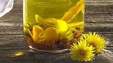 Pampeli�kov� v�no po anglicku