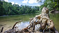 Zhruba jedenáct metr� hluboké kaolinové jezírko mezi obcemi Mar�ov a La�ánky na...