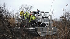 ilustra�ní snímek