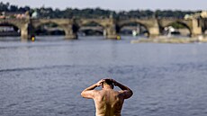 Mu� se ochlazuje v horkém dni na St�eleckém ostrov� ve Vltav�. (11. �ervence...