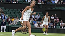 Barbora Strýcová se hecuje ve finále wimbledonské tyhry.