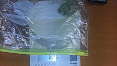 Motorká� uvedl, �e m�l drogy pro svou pot�ebu.