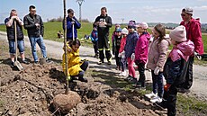Pod Uhlí�ským vrchem v Bruntále vzniká nová lipová alej. Prvních jednapadesát...