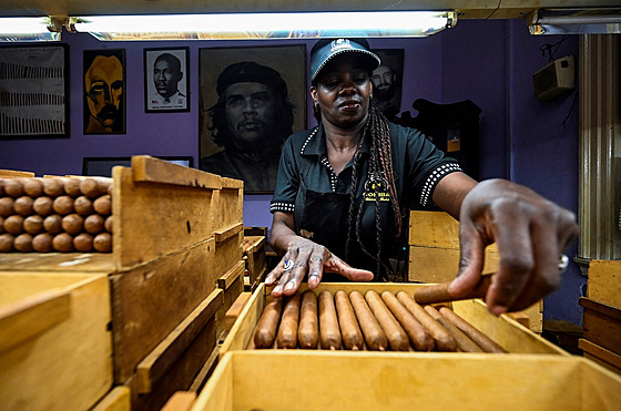 Kubánské doutníky jsou fenomén. A nejspí� proto, aby jím z�staly, jich z Kuby...