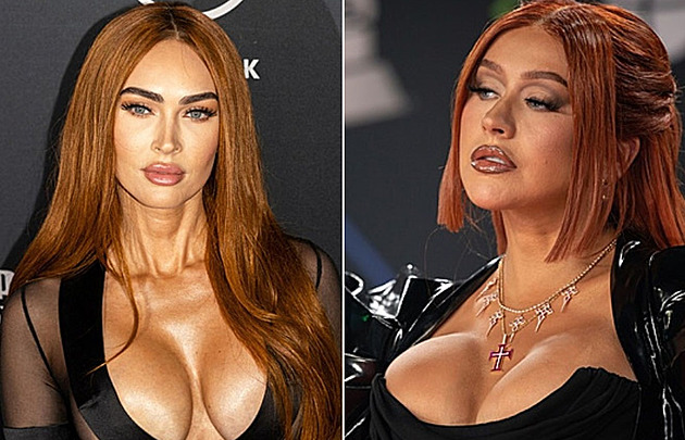 OBRAZEM: Celebrity, které si nechaly zvětšit prsa pomocí implantátů