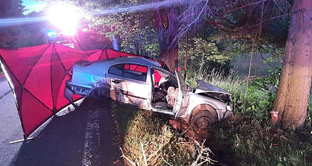 Tragická nehoda na Prachaticku. Řidič náraz auta do stromu nepřežil
