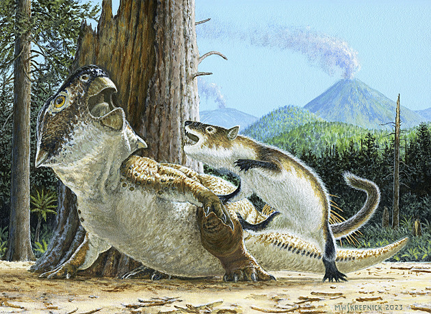 Při vražedné bitce zkameněli. Fosilie zachovala útok šelmy na dinosaura