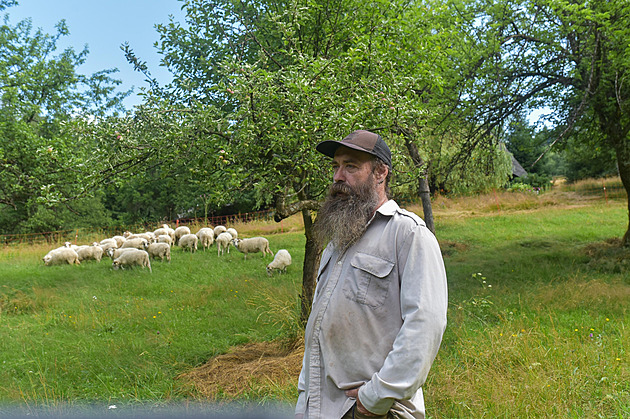 Sto padesát ovčích „sekaček“ pomáhá zachránit nádhernou krajinu Beskyd