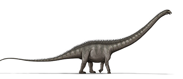 Nejdelší známá série stop sauropoda na světě je dlouhá 155 metrů