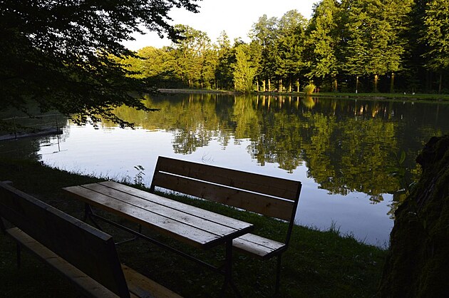 Jeden z klimkovických rybník v zámeckém parku.