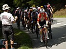 Dánský cyklista Mattias Skjelmose (Trek) táhne peloton ped kolegou v...