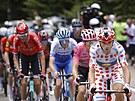 Italský cyklista Giulio Ciccone (Trek) si ve dvacáté etap Tour de France...