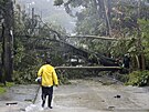 Vyvrácené stromy zpsobené tajfunem Doksuri blokují silnici ve mst Baguio na...