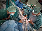 Lékai olomoucké fakultní nemocnice sedmým rokem provádjí takzvané awake...