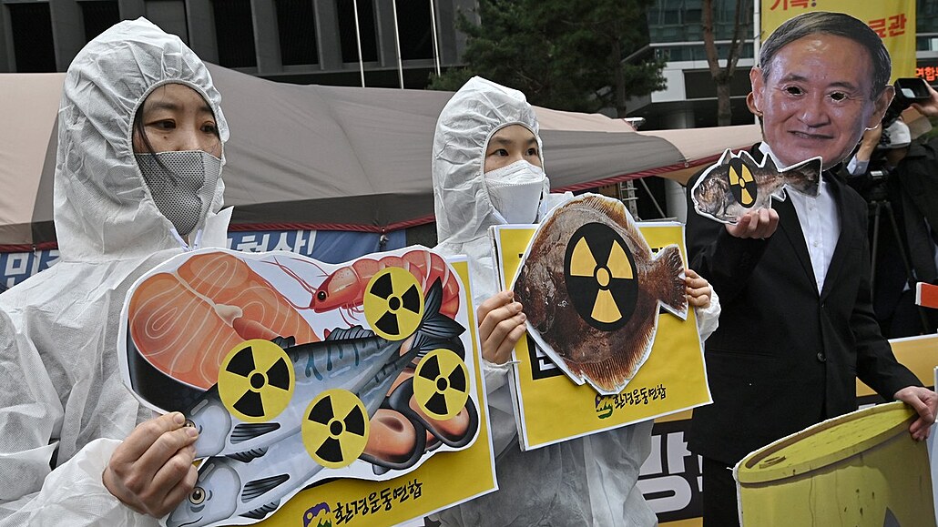 Jihokorejtí ekologití aktivisté bhem protestu proti rozhodnutí Japonska...