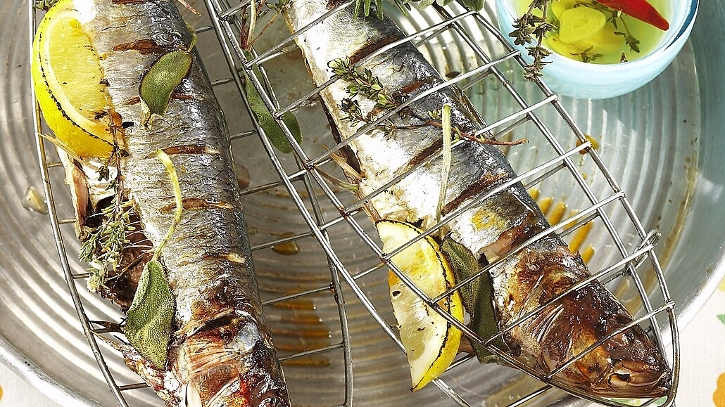 Grilované sardinky