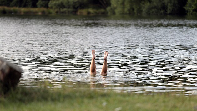 Posledn� v�t�� �pravy rybn�k doznal p�i revitalizaci Cihl��sk�ho potoka p�ed dvan�cti lety.