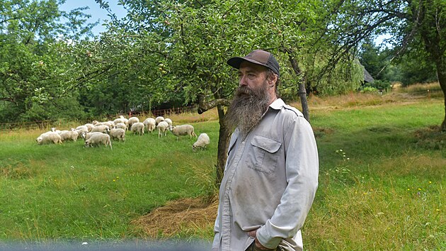 Ochr�nci p��rody ze spolku Salamandr putuj� po beskydsk�ch louk�ch se st�dem ovc�. Nech�vaj� je sp�sat, a pom�haj� t�m k n�vratu vz�cn�ch druh� rostlin a �ivo�ich�. Na sn�mku pas�k ovc� Marcel Drapala. (�ervenec 2023)