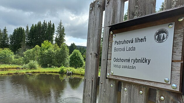 Vdci pedstavili v Borovch Ladech projekt zamen na sledovn populace pstruh na umav a okol.
