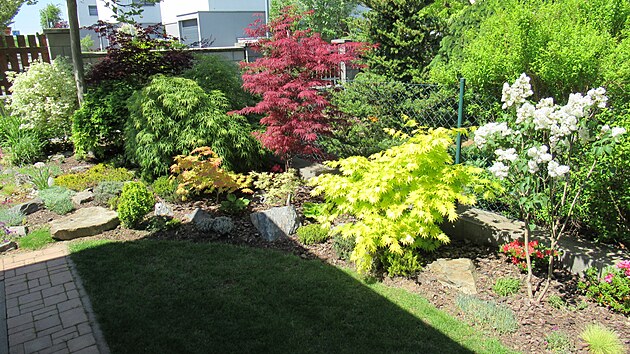 Zahrada se bhem roku barevn promuje tak, jak si to pan Pavel naplnoval u v projektu v roce 2014. 