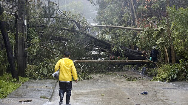 Vyvrcen stromy zpsoben tajfunem Doksuri blokuj silnici ve mst Baguio na severu Filipn. (26. ervence 2023)