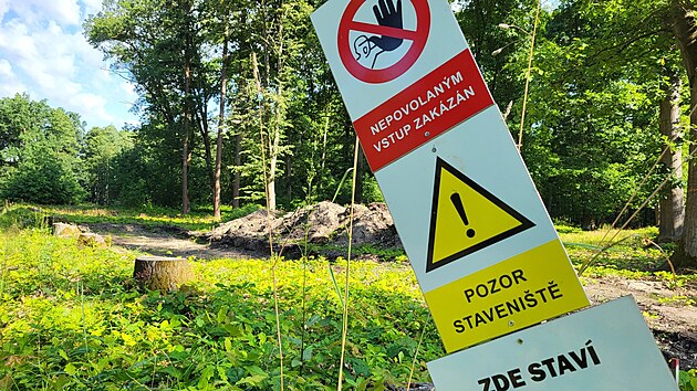 Msto poslednho seku lesnho okruhu v hradeckch lesch vede okrajem lesa jen prsek s paezy a vybagrovanm korytem. (14. ervence 2023)