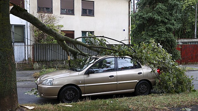Boue na severu Chorvatska vyvracela stromy. (19. ervence 2023)
