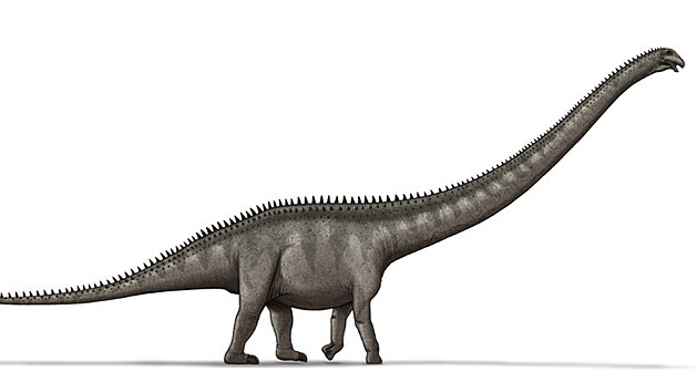 P�vodce stop z Plagne mohl b�t podobn� celkov�m tvarem t�la i velikost� ob��mu severoamerick�mu diplodokidovi druhu Supersaurus vivianae. Tak� tento sauropod dosahoval d�lky kolem 35 metr� a hmotnosti asi 40 tun.