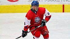 Reprezentant Marek Bláha kvůli zdravotním problémům musel s hokejem skončit.