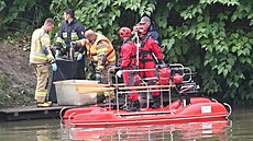 Na polské i eské stran eky Odry vytahovali mrtvé ryby, podle polských zdroj...